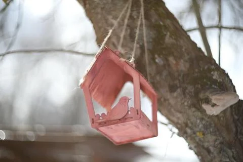 Close-up of a bird feeder on a tree under the snow in the forest. Stock Photos