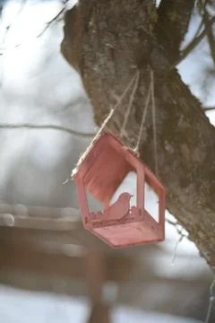 Close-up of a bird feeder on a tree under the snow in the forest. Stock Photos