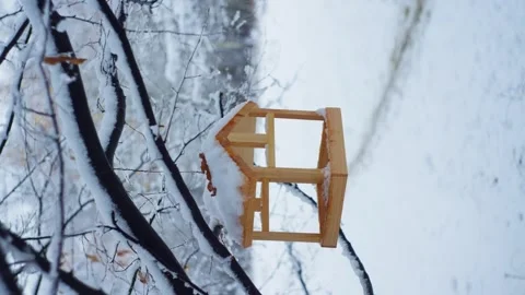 A close-up of a bird feeder in a winter forest. Stock Footage 296404951