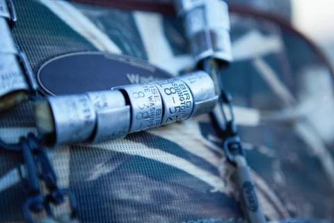 Close-up of bird leg rings on backpack Stock Photos