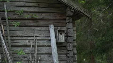 Close-up of a birdhouse on a wall of an old log cabin in the woods Stock Footage 114996120