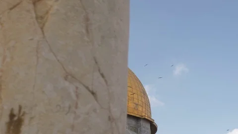 Close Up of Birds on the Dome of the Rock Stock Footage 82676927