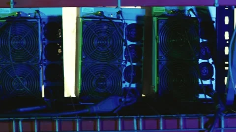 Close Up of Bitcoin Mining Rigs Stock Footage 311563986