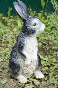 Close-up of a black and white rabbit sitting in the garden Stock Photos