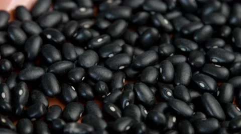 Close up with Black Beans rotating Stock-Footage 54097075