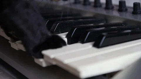 Close up of the black cat's paws playing the keys Stock Footage