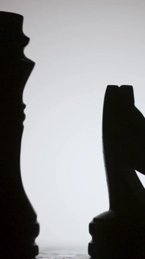 Close up of a black chess piece in silhouette on a light background Stock Footage 339303602