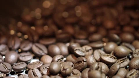 Close up of black coffee beans. coffee background Stock Footage 259794242