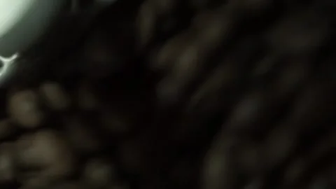 Close up of black coffee beans Stock Footage 259794248