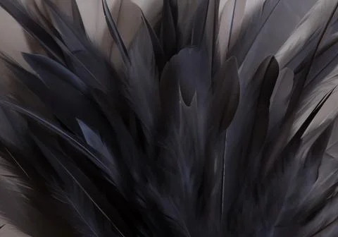 Close up of black feathers Stock Photos