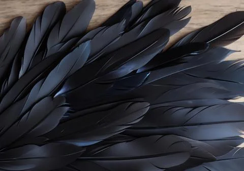 Close up of black feathers Stock Photos