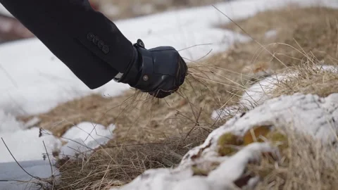 Close-up of a black gloved hand picking up dry mountain grass among patches of Stock Footage 343369235