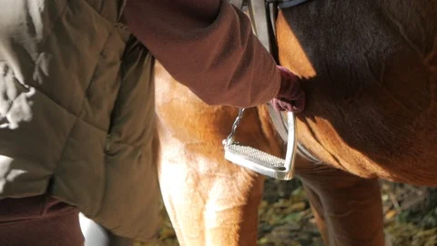 Close up of a black leather boot on stirrup Stock Footage 96397672