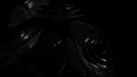 Close up of black minimal flower 3D render background Stock Footage 123253908