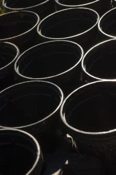 Close-up of black plastic pots placed symmetrically lit from above Foto stock