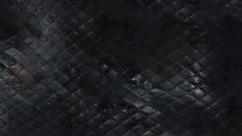 Close up of black snake skin Stock Footage 321768419