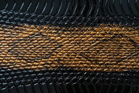 Close up of black snake texture. Dark reptile skin background. Stock Photos