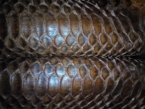 Close up of black snake texture. Dark reptile skin background 스톡 사진