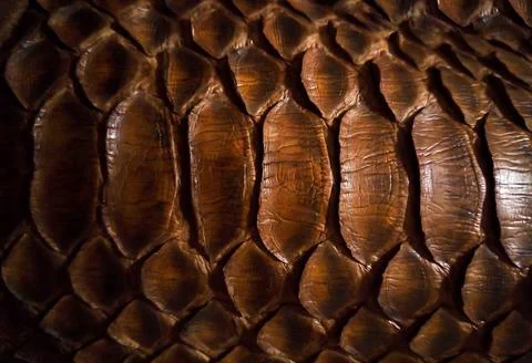 Close up of black snake texture. Dark reptile skin background Stock Photos