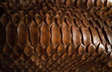 Close up of black snake texture. Dark reptile skin background 스톡 사진