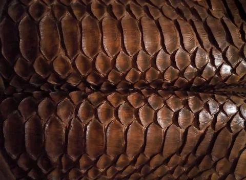 Close up of black snake texture. Dark reptile skin background 스톡 사진