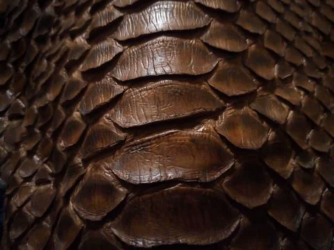 Close up of black snake texture. Dark reptile skin background Foto stock