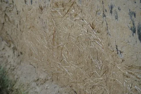 Close-up of black soldier fly larvae thriving in organic waste for sustainable f Stock Photos