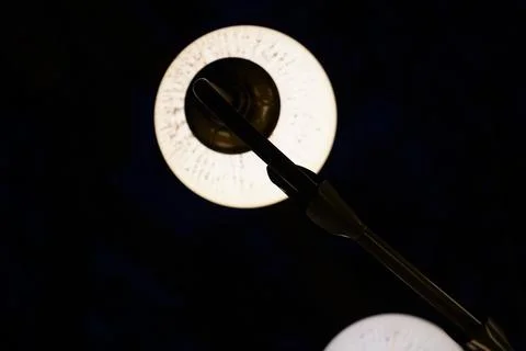Close-up of black soldier fly larvae clustered under focused lighting for Stock Photos