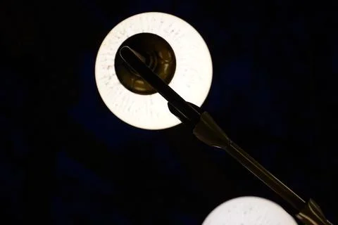 Close-up of black soldier fly larvae under controlled farming lighting in Stock Photos