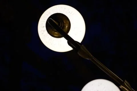 Close-up of black soldier fly larvae under controlled farming lighting in dark Stock Photos