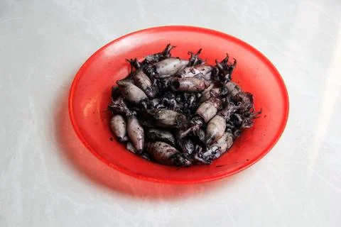 Close up black squid boiled on a red plate with a white background Stockfoto's