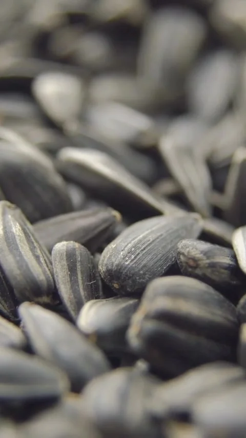 Close up of black sunflower seeds rotating slowly together Stock Footage 334169372