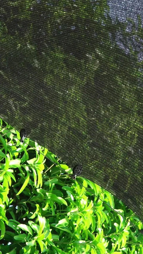 Close Up of Black Sunshade Net with Plastic Clips Swaying in the Wind Видео 341677002