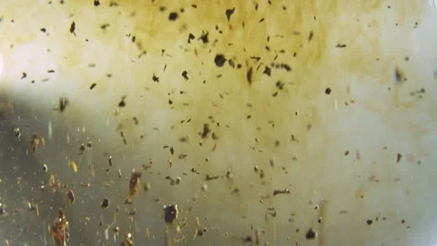 Close up of black tea particles brewing in the tea pot Stock Footage 252668730