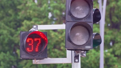 A close-up of a black traffic light counts down the time for pedestrians with a Stock Footage 218949974