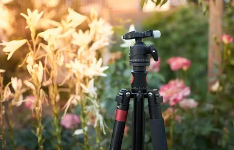Close up of black tripod without camera flower background 스톡 사진