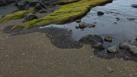 Close up of black volcanic sand and basalt rocks with clear sea at Sagye Beach Stock Footage 337978126