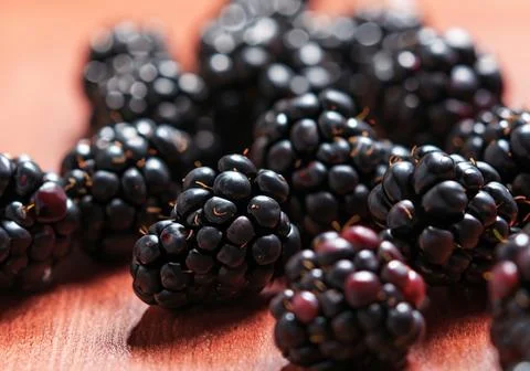 Close up of blackberries Stock Photos