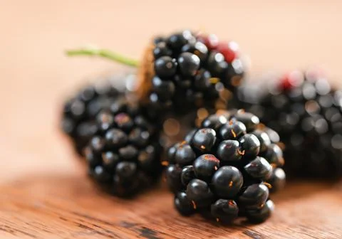 Close up of blackberries Stock Photos