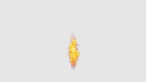 Close-up of the blazing fire scene in real and realistic colors Isolated Stock Footage 241681074