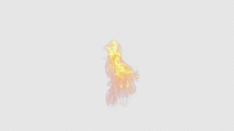 Close-up of the blazing fire scene in real and realistic colors Isolated Stock Footage 241681323