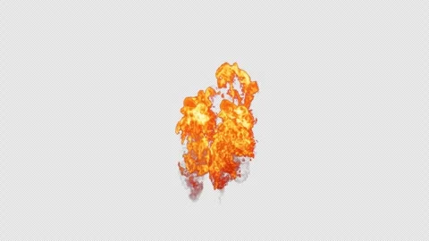 Close-up of the blazing fire scene in real and realistic colors Isolated Stock Footage 241681452