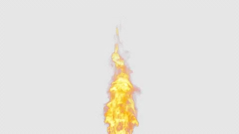 Close-up of the blazing fire scene in real and realistic colors Isolated Stock Footage 241681547