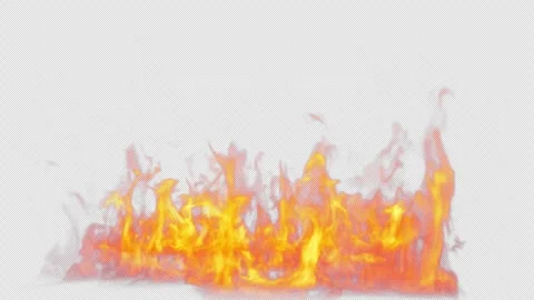 Close-up of the blazing fire scene in real and realistic colors Isolated Stock Footage 241702879