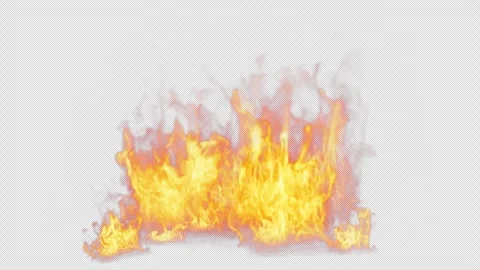 Close-up of the blazing fire scene in real and realistic colors Isolated Stock Footage 241703011
