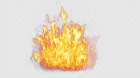 Close-up of the blazing fire scene in real and realistic colors Isolated Stock Footage 241703481