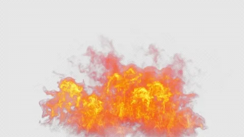 Close-up of the blazing fire scene in real and realistic colors Isolated Stock Footage 241703631