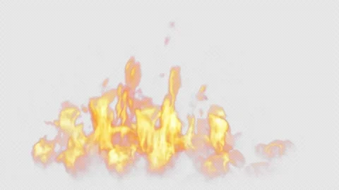 Close-up of the blazing fire scene in real and realistic colors Isolated Stock Footage 241703722