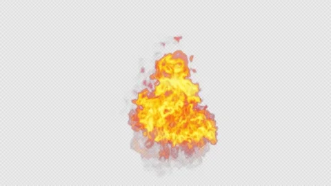 Close-up of the blazing fire scene in real and realistic colors Isolated Stock Footage 241703838