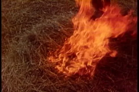Close-up blazing hay stack Stock-Footage 25207167